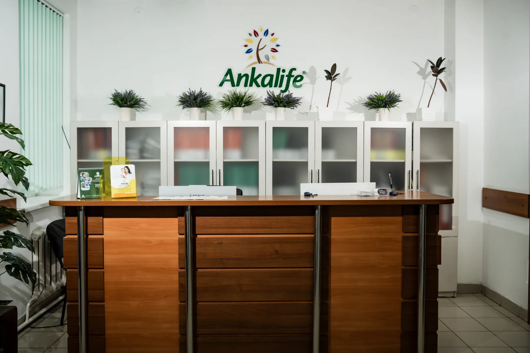 Provider-source image: anka interior 3